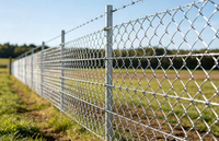 <span style="font-size:24px;"><strong><span style="color:#333333;">Fence Protection Scenario</span></strong></span>